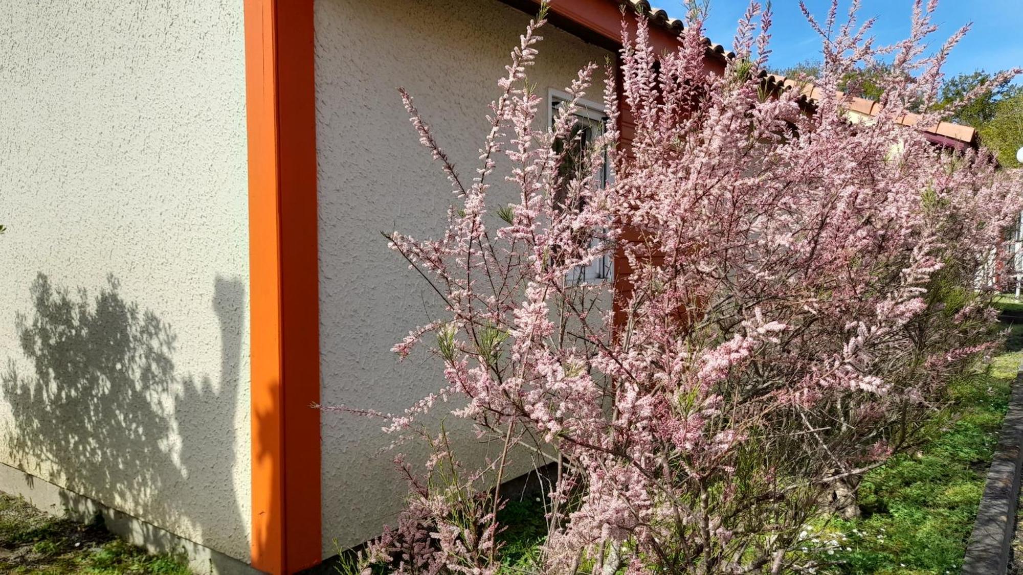 Residence Mes Amours D'Enfants - Les Villas Du Lac سوستون المظهر الخارجي الصورة